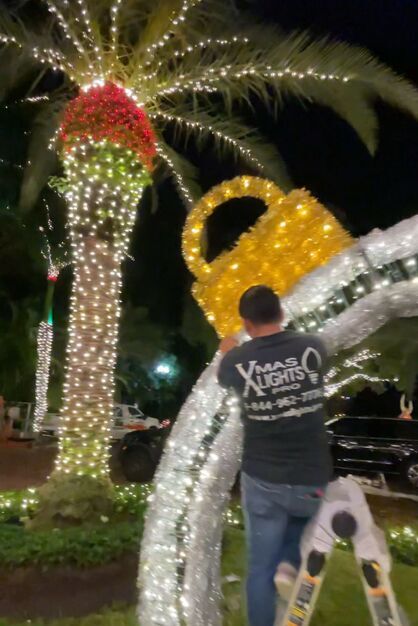 Maintenance XMAS LIGHTS PRO